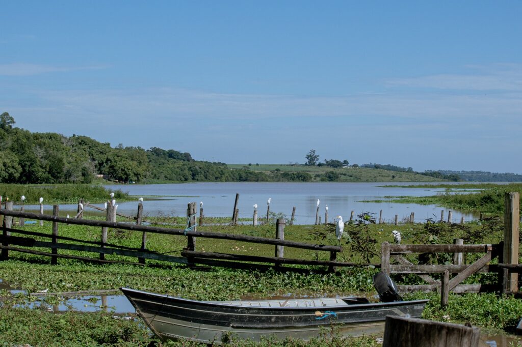 Imagem do Tanquã, um dos bairros de Piracicaba, que é conhecido como o minipantanal paulista, porque tem abundância de água e diversidade de espécies animais. A imagem tem aves, um baco e as águas do Tanquã