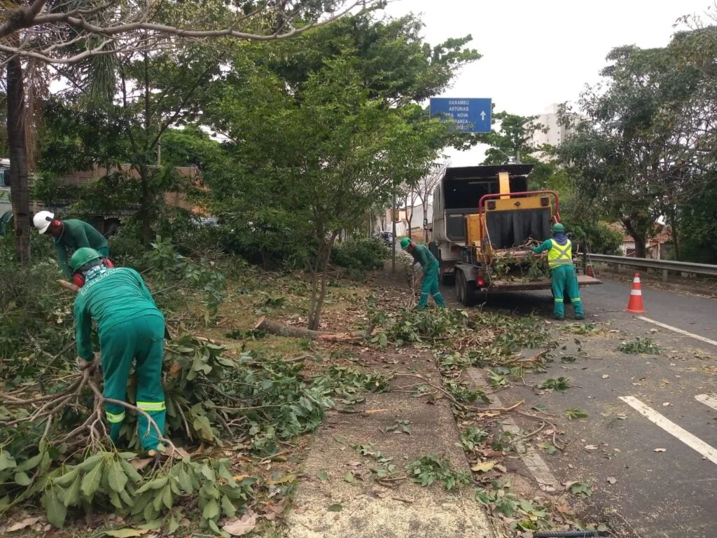 Imagem de três funcionários realizando a retirada de galhos na avenida e colocando no caminhão