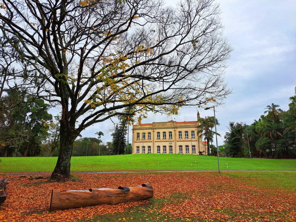 Prédio central da Esalq (Escola Superior de Agricultura Luiz de Queiroz), com destaque para uma árvore e o chão repleto de folhas