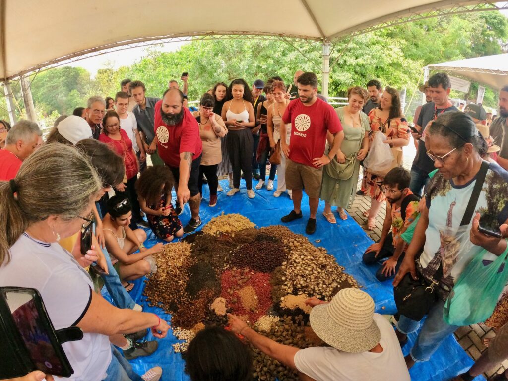 Grupo de pessoas observa e manuseia inúmeros grãos de sementes crioulas espalhados no chão, durante oficina de Muvuca de Semente