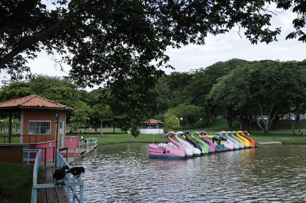 Imagem de cisnes de "pedalinho" para lazer no Parque da Rua do Porto, que possui lago