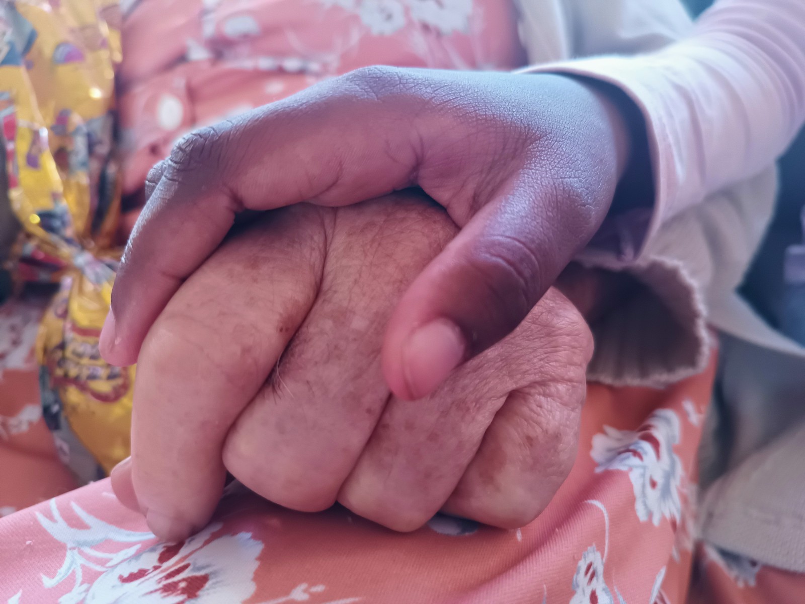 A foto ilustra a imagem da mão de uma pessoa idosa envolta pela mão de uma criança.