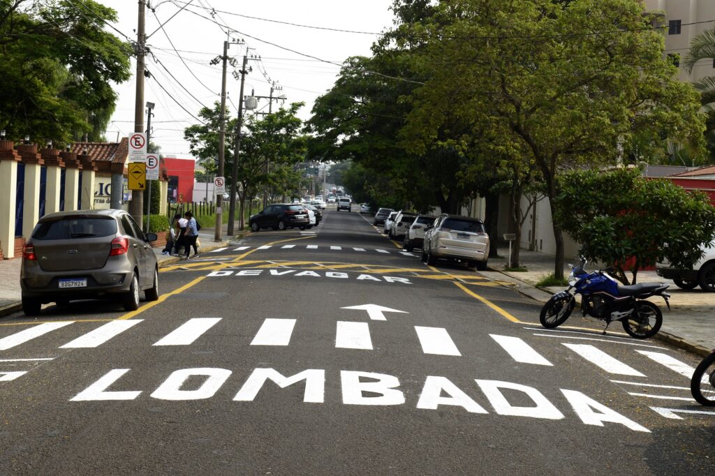 Avenida com faixa de pedestre branca, tendo ao lado a palavra Lombada, na cor branca.