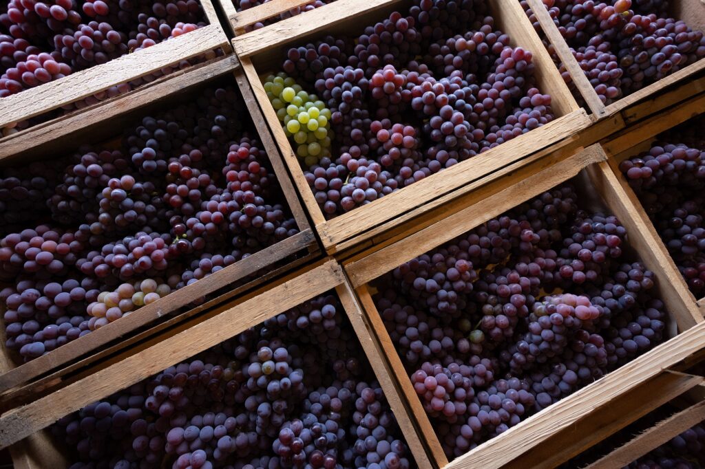 Caixa de uvas
