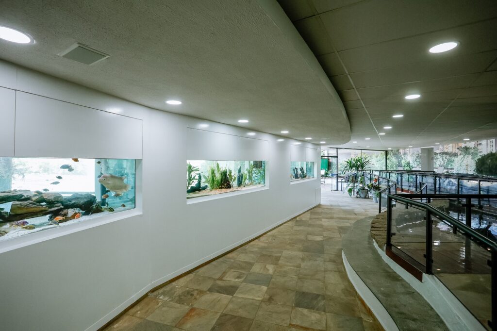 aquários com peixes e corredor para passeio de pessoas