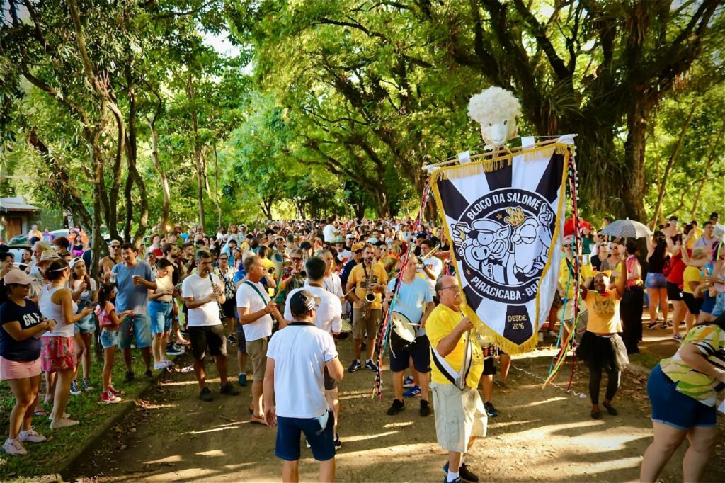 Desfile do Bloco da Salomé, na avenida Cruzeiro do Sul.