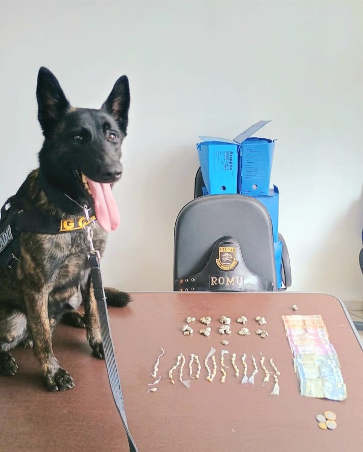 Cachorro em cima de mesa ao lado de várias porções de drogas e notas de dinheiro