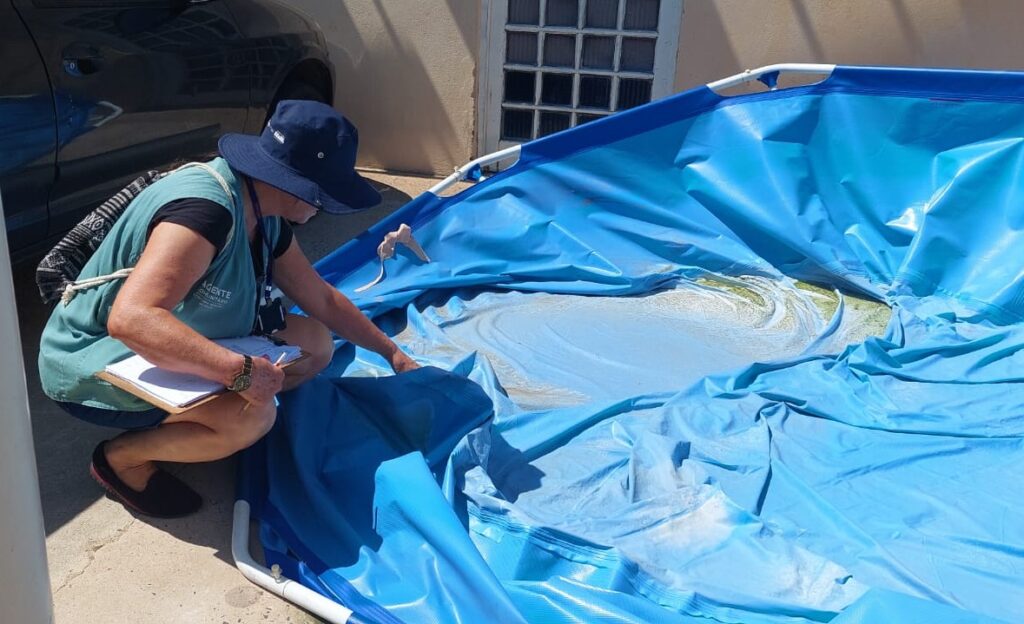 Agente de saúde encontra e elimina possível foco da dengue em casa na região do bairro Chapadão