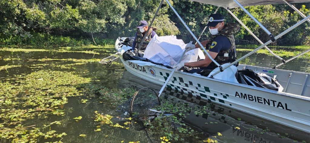 Retirada dos peixes no Tanquã.