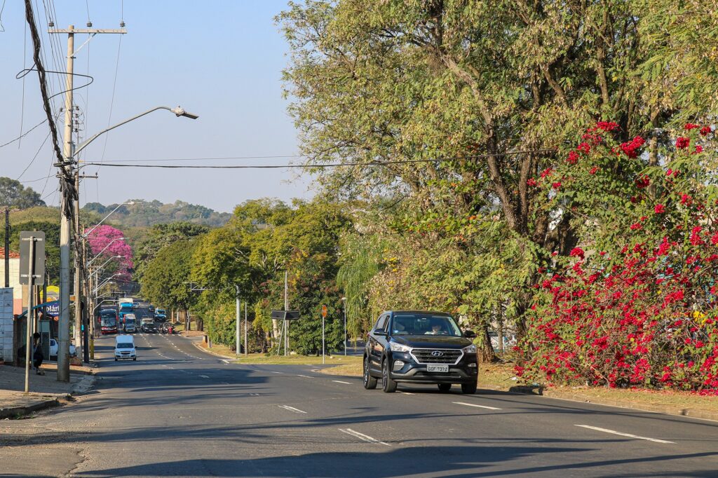 Avenida Limeira entre a avenida Monsenhor Martinho Salgot.