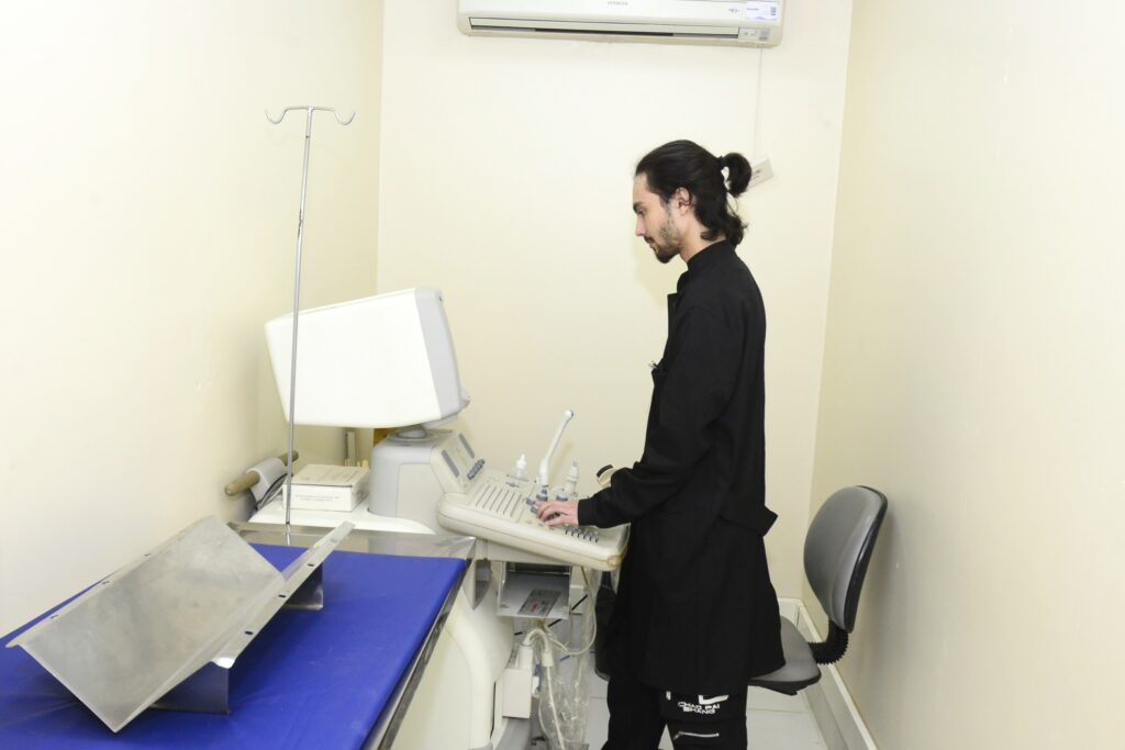 Atendimentos e consultas veterinárias para famílias de baixa renda já estão disponíveis