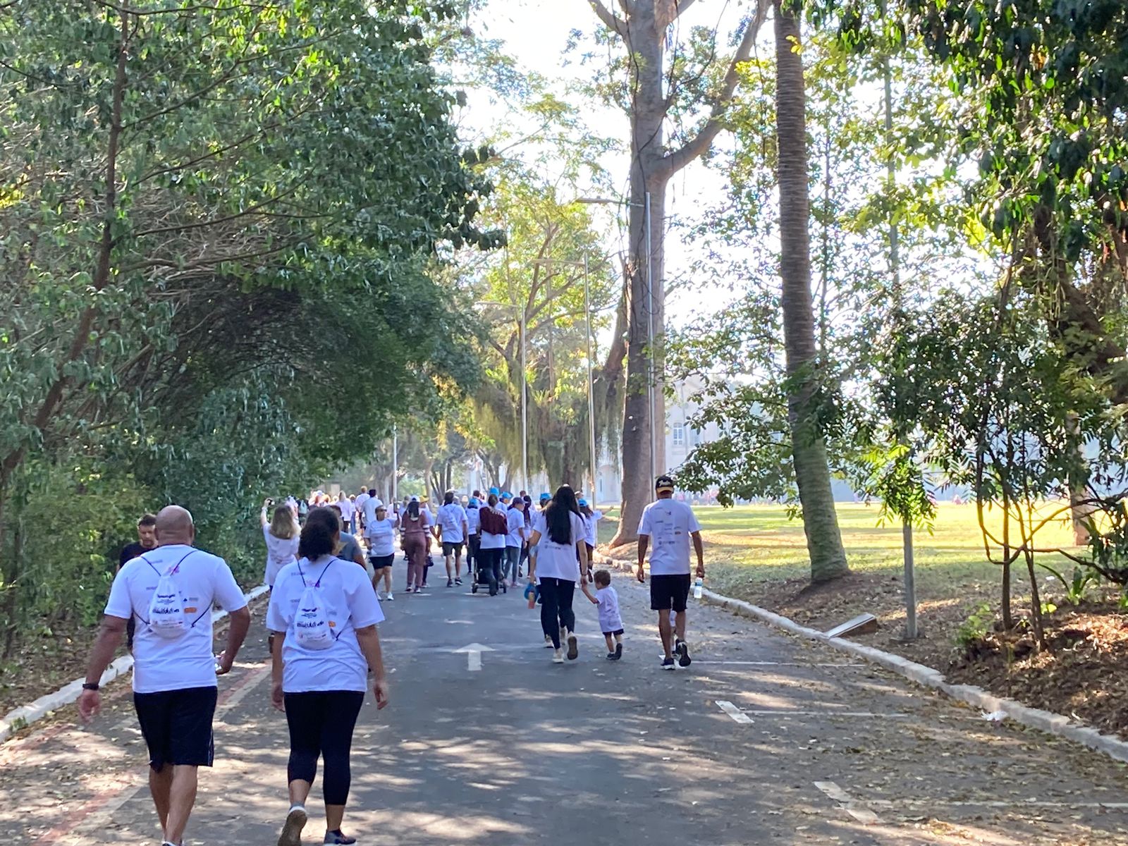 Caminhada Dourada aconteceu no último domingo, na Esalq