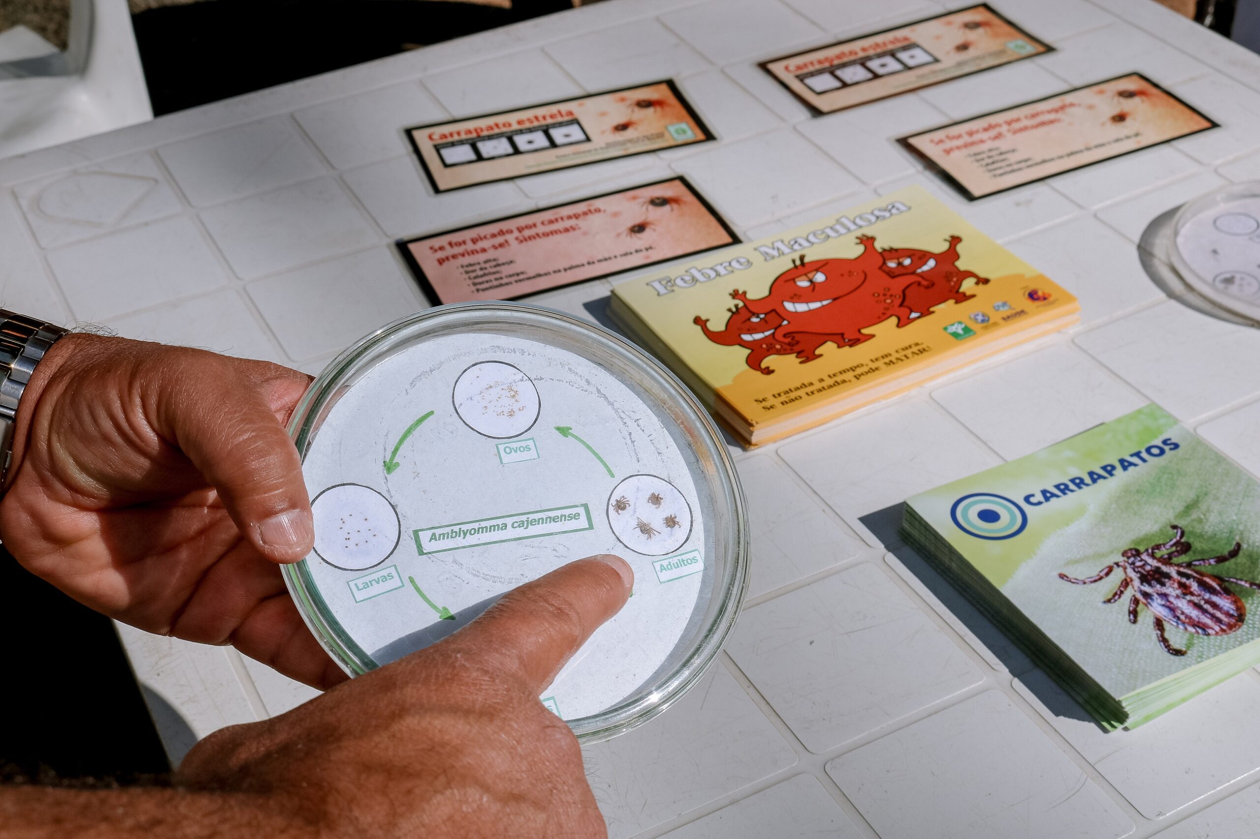 Equipes da Prefeitura vão orientar a população como evitar contato com carrapato-estrela e orientar sobre a febre maculosa