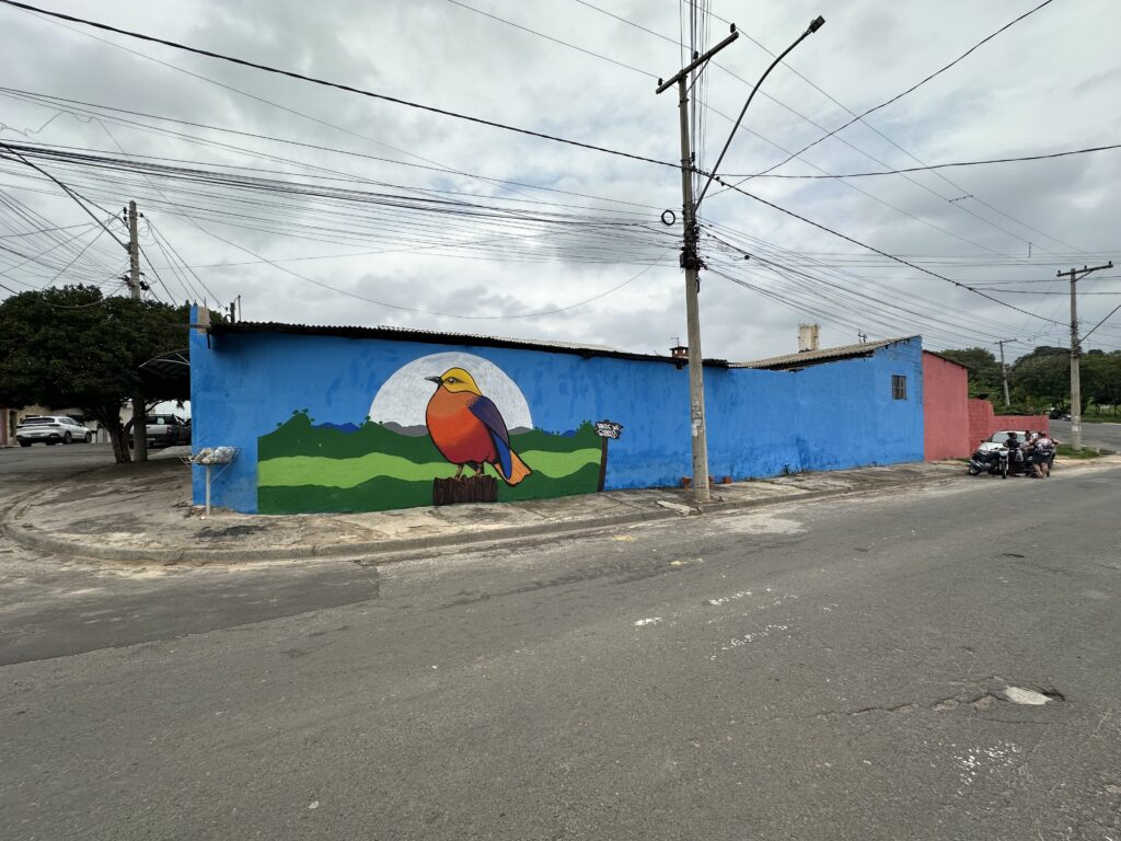 Pintura em grafite localizada em muro no bairro Parque dos Sabiás em Piracicaba. Mostra um pássaro colorido sentado em um toco de madeira, contra um fundo de um céu azul e colinas verdes. Um grande círculo branco, que poderia ser interpretado como a lua, está atrás do pássaro. Na parte direita da pintura, há uma pequena placa que diz "Parque dos Sabiás". Há alguns veículos estacionados e algumas pessoas perto de uma motocicleta na extremidade direita da imagem. A imagem transmite uma sensação de vida cotidiana em um bairro, com uma intervenção artística que adiciona cor e vida ao cenário.