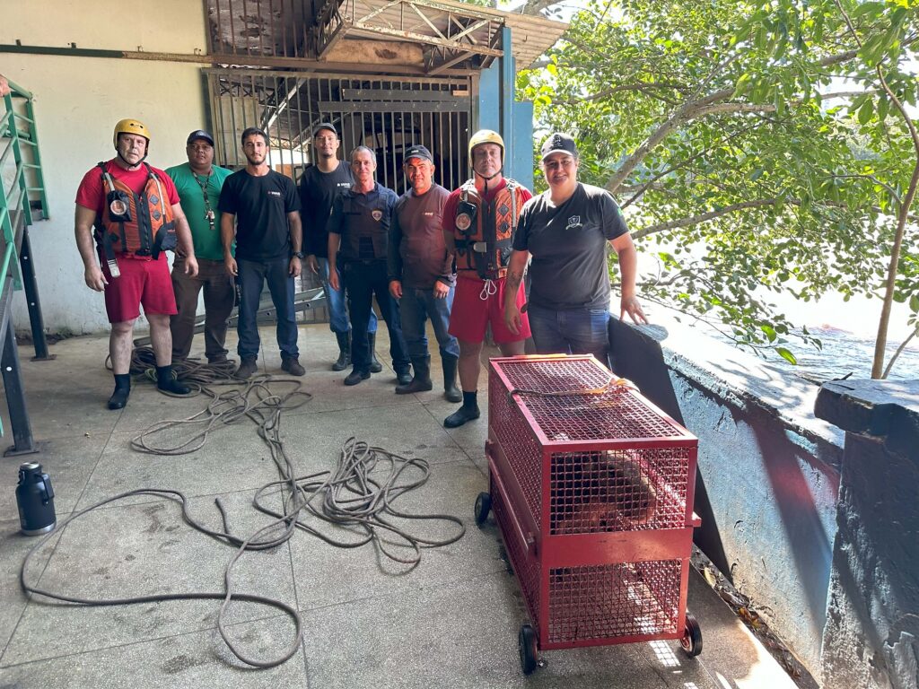 Oito homens da equipe que resgataram a capivara aparecem de pé ao lado do carrinho vermelho em que as capivaras estão presas.