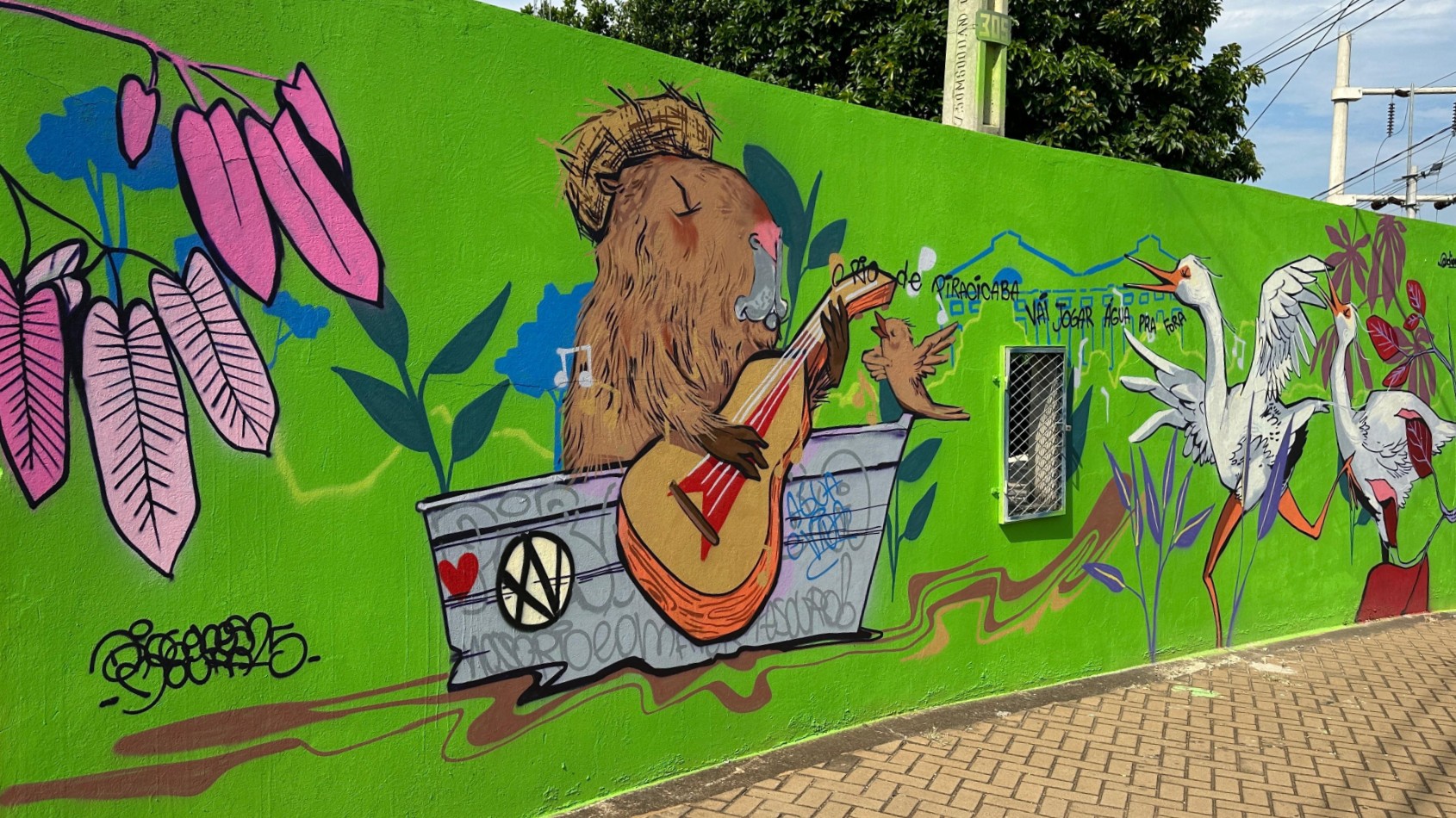 A imagem mostra um mural de grafite pintado em uma parede verde. A arte apresenta vários elementos, incluindo: * *Um capivara:* A capivara está no centro do mural, tocando um violão. Ela está em uma espécie de barco ou recipiente com um símbolo de paz e amor. * *Um pássaro:* Um pássaro está sentado no ombro da capivara, como se estivesse ouvindo a música. * *Estrelas:* Há algumas estrelas no céu atrás da capivara. * *Plantas:* Há várias plantas representadas no mural, incluindo folhas grandes e flores. * *Garças:* Há duas garças desenhadas no canto direito do mural. * *Texto:* Há texto escrito no mural, incluindo "Rio de Piracicaba" e "Vai jogar água pra fora". A arte parece ser uma representação vibrante e colorida da natureza e da vida selvagem. A combinação de animais, plantas e texto cria uma composição visualmente interessante.