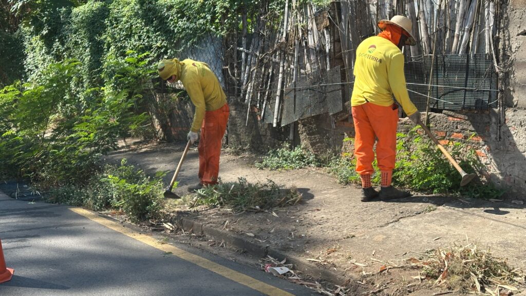 A imagem mostra duas pessoas usando camisas amarelas e calças laranjas, trabalhando na remoção de vegetação em uma calçada. Elas estão utilizando enxadas para retirar ervas daninhas e outras plantas. Ambos usam equipamentos de proteção, como chapéus e luvas. Ao fundo, há uma cerca coberta por vegetação e alguns materiais de construção. A palavra "ECOTERRA" está estampada nas costas das camisas. A cena retrata um trabalho de limpeza e manutenção de espaço urbano.