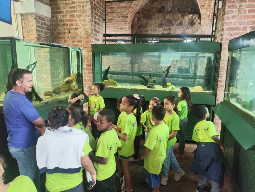 A imagem mostra um grupo de crianças em idade escolar em visita a um aquário. Um adulto, que parece ser um professor ou guia, está interagindo com as crianças, apontando para os tanques de peixes. As crianças estão vestindo uniformes escolares verdes e parecem estar muito interessadas nos peixes. O ambiente é um aquário ou museu de história natural, com paredes de tijolos à vista e tanques de peixes bem iluminados. A cena transmite um sentimento de aprendizado e exploração. As crianças parecem engajadas e curiosas sobre o que estão vendo. O adulto parece paciente e atencioso em ajudar as crianças a aprenderem sobre os peixes. A imagem sugere uma atividade educacional divertida e informativa para as crianças.