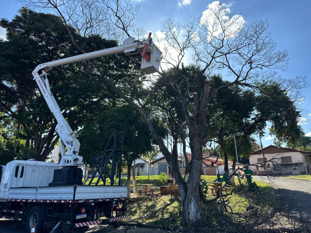 A imagem mostra um caminhão munido de um braço articulado, utilizado para podar árvores. O braço está estendido, alcançando os galhos altos de uma árvore grande e sem folhas, que está localizada em um parque ou área verde. No chão, há vários galhos cortados, indicando que a poda já está em andamento. Ao fundo, é possível ver casas e outras árvores, sugerindo um cenário residencial ou urbano. O céu está parcialmente nublado, com algumas nuvens brancas e o sol brilhando. Há pessoas vestindo uniformes verdes trabalhando na poda. O caminhão é branco e tem uma placa visível. A cena geral sugere uma atividade de manutenção de áreas verdes.
