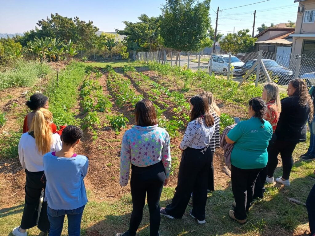 A imagem mostra um grupo de pessoas, a maioria mulheres e jovens, reunidas em uma horta comunitária. Elas parecem estar em uma visita ou aula prática, observando as plantações. A horta é organizada em canteiros, com diversas plantas crescendo em fileiras. Há uma variedade de vegetação, incluindo plantas de tamanho menor e outras maiores, sugerindo diferentes tipos de cultivos. Ao fundo, é possível ver casas e uma rua, indicando um ambiente urbano ou periurbano. O dia parece ensolarado, com céu claro e o ambiente apresenta uma atmosfera tranquila e educativa. As pessoas estão vestidas de forma casual, com roupas confortáveis para um ambiente externo. A imagem transmite uma sensação de aprendizado, trabalho comunitário e contato com a natureza.