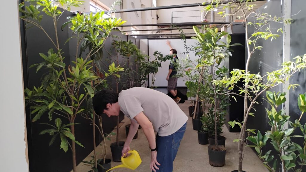 A imagem mostra um interior com várias plantas em vasos, dispostas ao longo de paredes pretas. Uma pessoa está agachada, regando as plantas com um regador amarelo. Outra pessoa está em pé ao fundo, parecendo observar ou interagir com uma tela branca. O ambiente parece ser um estúdio ou um espaço de trabalho, com estrutura de metal aparente no teto. A iluminação é natural, com uma atmosfera tranquila e focada nas plantas. As plantas são de diferentes tamanhos e tipos, sugerindo um projeto paisagístico ou uma coleção botânica. A imagem é nítida e bem iluminada, com cores naturais e vibrantes.