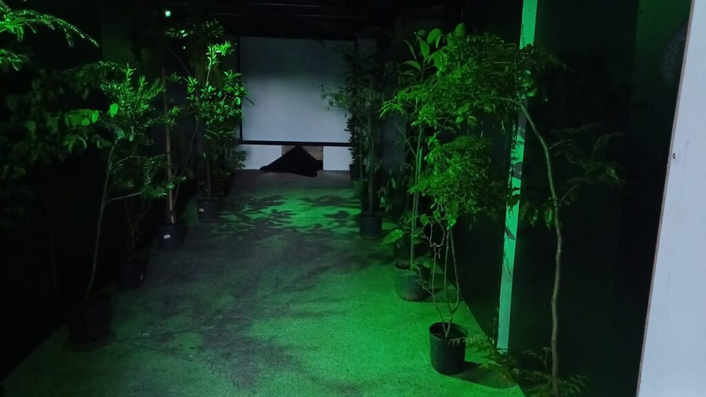 A imagem mostra um corredor estreito e escuro iluminado com luz verde. O corredor é ladeado por plantas em vasos, criando uma atmosfera quase de floresta. No fundo, há uma tela branca, e no chão, uma forma escura que parece ser um objeto ou uma pessoa deitada. As sombras das plantas são projetadas no chão, adicionando profundidade à cena. A iluminação verde realça as folhas das plantas, dando-lhes um aspecto vibrante. A atmosfera geral é misteriosa e um tanto surreal.