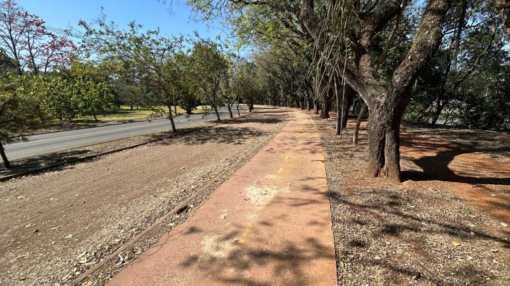 A imagem mostra uma via pavimentada ladeada por uma ciclovia ou calçada, ambas cercadas por árvores que proporcionam sombra e emolduram o trajeto. O cenário é tranquilo e bem cuidado, sugerindo um espaço urbano planejado para atividades ao ar livre como caminhadas ou passeios de bicicleta.