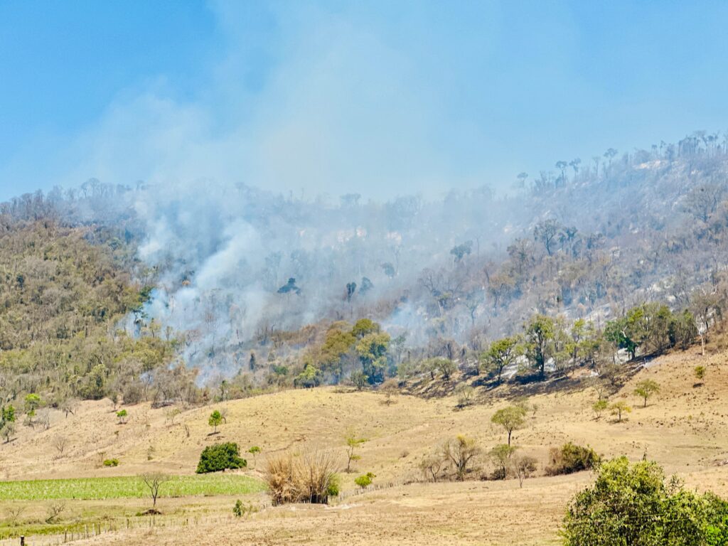 A imagem exibe uma paisagem de colina com uma densa fumaça branca subindo de uma área arborizada na encosta. O céu azul claro domina a parte superior da imagem, contrastando com a fumaça e a vegetação seca. A encosta da colina é coberta por uma mistura de árvores esparsas, algumas com folhagem verde vibrante e outras com galhos secos e cinzentos, sugerindo o impacto do fogo. A parte inferior da paisagem é uma área de campo aberto com grama seca e amarelada, pontilhada por algumas árvores e um pequeno campo verde no canto inferior esquerdo. A fumaça, que parece ser o resultado de uma queimada, espalha-se pela encosta, obscurecendo parcialmente a vegetação e criando uma atmosfera de devastação ambiental.