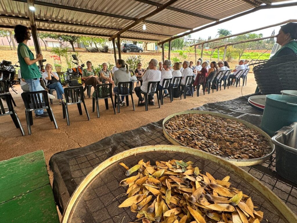 A imagem mostra um grupo de pessoas sentadas em cadeiras sob uma cobertura, participando de uma apresentação ou oficina. Uma pessoa em pé, vestida com uma camiseta verde e calça jeans, está falando para o grupo. Ao fundo, há árvores e vegetação, sugerindo um ambiente ao ar livre, possivelmente um jardim ou centro comunitário. Na frente da imagem, em primeiro plano, há uma mesa com dois recipientes circulares sobre uma cobertura preta. Um dos recipientes contém uma grande quantidade de sementes secas e amareladas, enquanto o outro tem uma mistura de folhas secas e algumas sementes. Há também um balde verde e partes de outros recipientes visíveis na mesa. A cena geral evoca uma atividade relacionada à natureza, como coleta de sementes, plantio ou educação ambiental.