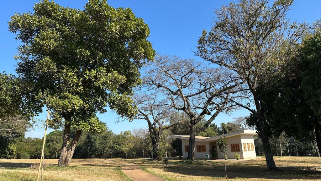 A imagem exibe um cenário natural sereno sob um céu azul claro e sem nuvens. Em primeiro plano, um caminho sinuoso de cor ocre atravessa um gramado de tom dourado, sugerindo um parque ou jardim bem cuidado. À direita do caminho, uma construção moderna de cor clara se destaca, com janelas de formato retangular e um telhado inclinado. A edificação parece estar integrada à paisagem, cercada por árvores. A vegetação é variada, com árvores frondosas de folhas verdes vibrantes e outras com galhos mais secos e despidos, o que pode indicar diferentes estações do ano ou espécies distintas. O conjunto transmite uma sensação de tranquilidade e harmonia com a natureza.