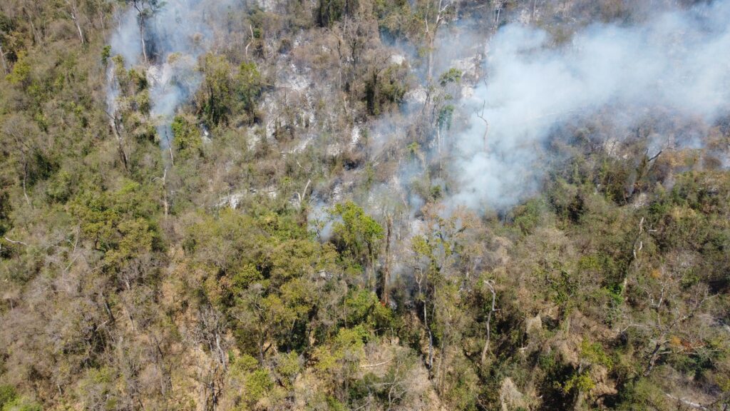 A imagem exibe uma vista aérea de uma floresta densa, com foco em uma área onde um incêndio está em andamento. Fumaça branca e espessa sobe de vários pontos da vegetação, indicando a presença de chamas. A fumaça se espalha pelo céu, obscurecendo parcialmente a paisagem. A vegetação na área afetada parece ser uma mistura de árvores de diferentes tamanhos e densidades. Algumas árvores estão cobertas por folhagens verdes vibrantes, enquanto outras apresentam tons mais secos e marrons, sugerindo que já foram afetadas pelo fogo ou estão em processo de secagem. O terreno é irregular, com inclinações e possíveis rochas ou encostas visíveis em algumas partes da imagem. A iluminação sugere que a foto foi tirada durante o dia, com o sol incidindo sobre a floresta.