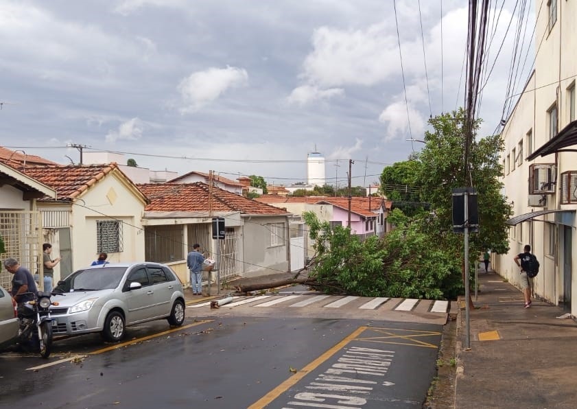 A imagem mostra uma rua residencial com um céu nublado e uma árvore caída que bloqueia parcialmente a faixa de pedestres e a rua. Um carro prateado está estacionado próximo à árvore, e uma motocicleta está ao lado do carro. Há algumas pessoas na rua, observando a situação. Um prédio alto e branco com uma torre no topo é visível ao fundo, entre as casas. A rua parece molhada, sugerindo que choveu recentemente. A queda da árvore parece ter afetado a fiação elétrica, pois alguns fios estão pendurados perigosamente.
