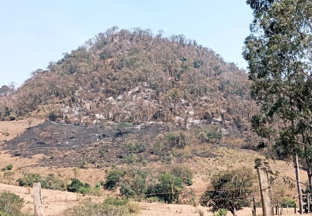 A imagem exibe uma paisagem rural com uma colina ao fundo, parcialmente coberta por vegetação. A parte inferior da colina apresenta uma área visivelmente queimada, com tons escuros de cinza e preto, indicando um incêndio recente. Acima dessa área, a vegetação parece seca e castanhas, com muitas árvores desfolhadas ou com galhos carbonizados. A parte superior da colina mantém uma cobertura vegetal mais densa, embora também pareça seca. Na parte inferior da imagem, em primeiro plano, há uma cerca de arame e postes de madeira. A vegetação rasteira e algumas árvores mais baixas também são visíveis, com tons secos de marrom e verde. À direita, destacam-se árvores altas com folhagem verde e densa, contrastando com o estado mais seco da vegetação na colina. O céu está claro e azul, sugerindo um dia ensolarado.