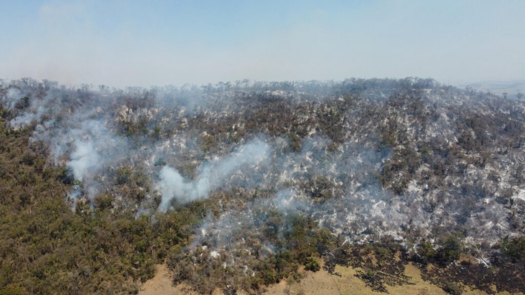 A imagem mostra uma vista aérea de uma área de vegetação densa, provavelmente uma floresta ou cerrado, que está sendo consumida por um incêndio. Fumaça branca e densa se eleva de vários pontos da encosta, indicando que o fogo está ativo. A vegetação parece seca e em algumas áreas já está carbonizada, com troncos e galhos escuros contrastando com o solo e a fumaça. A topografia do terreno é irregular, com uma encosta que se estende até o horizonte. O céu, visível na parte superior da imagem, está claro e azul, com uma leve neblina ou poeira no ar, possivelmente causada pela fumaça do incêndio. A extensão do dano causado pelo fogo é visível, com grandes áreas de vegetação aparentando terem sido queimadas. A imagem transmite uma sensação de destruição e a força da natureza em ação.
