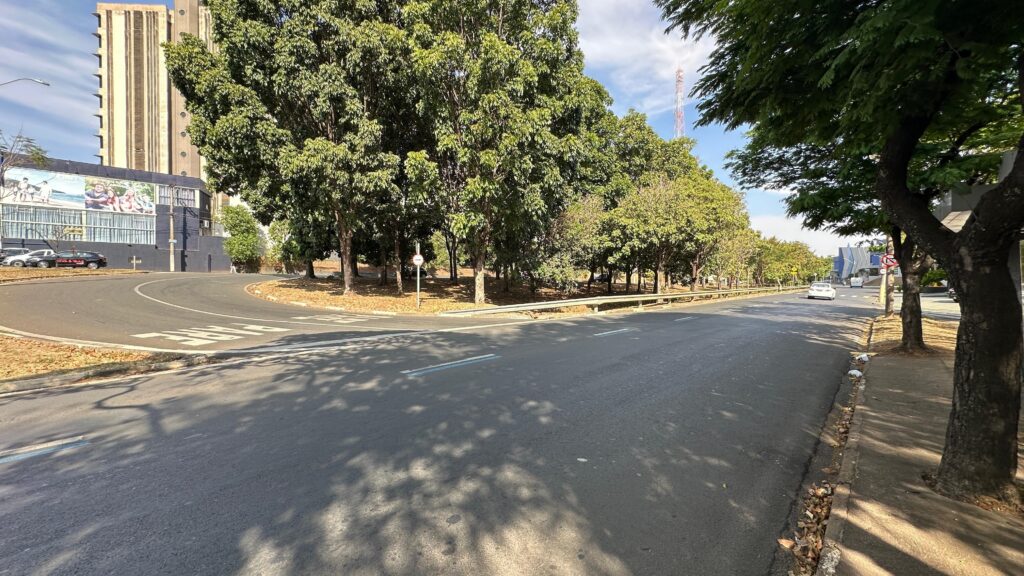 A imagem mostra uma rua em um dia ensolarado, com árvores frondosas alinhadas ao lado direito da via. A rua é asfaltada e possui faixas brancas pintadas, indicando as pistas de rolamento. Ao fundo, à esquerda, um edifício alto e moderno com janelas escuras se destaca na paisagem urbana. À direita da rua, uma calçada estreita é visível, com algumas árvores plantadas ao longo dela. O chão da calçada e da rua está coberto por folhas secas, sugerindo que pode ser outono ou inverno. Há também alguns carros estacionados no lado esquerdo da rua, perto do edifício. A iluminação da cena é forte, com sombras projetadas pelas árvores no asfalto, indicando que o sol está alto no céu.