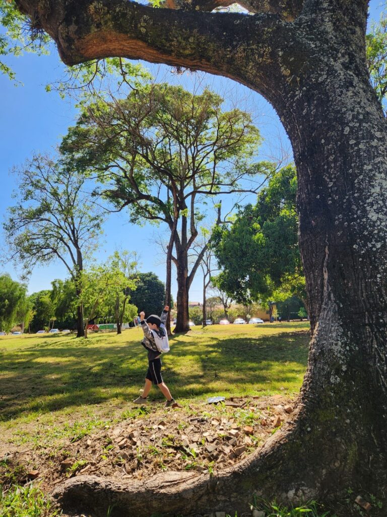A imagem mostra um menino em pé em um parque gramado, com árvores grandes ao redor. O céu está azul e ensolarado. O menino está vestindo uma jaqueta com capuz, shorts pretos e um boné. Ele tem os braços levantados, parecendo animado ou comemorando. Uma grande árvore com galhos grossos domina o lado direito da imagem, com suas raízes expostas no chão. Ao fundo, outras árvores e alguns carros estacionados sugerem uma área pública ou um estacionamento próximo. A luz do sol cria sombras longas na grama, indicando que é uma tarde ensolarada.