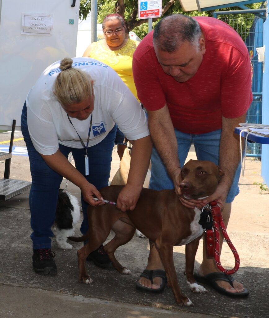 A imagem mostra um evento de vacinação antirrábica para cães. Duas pessoas estão aplicando vacinas em um cachorro marrom, que parece ser da raça Pitbull. Uma mulher, vestida com uma camiseta branca com um logo azul, está segurando a seringa e aplicando a vacina. Um homem, vestindo uma camiseta vermelha, está segurando o cachorro pela coleira. Ao fundo, uma mulher com óculos e uma blusa amarela observa a cena. Há também um cachorro menor, preto e branco, e outro cachorro ao fundo. Uma placa com o símbolo de acessibilidade e a inscrição "USO OBRIGATÓRIO DO CARTÃO" está visível ao fundo, assim como uma placa com a palavra "ENTRE!" e "VACINAÇÃO ANTIRRÁBICA". O ambiente parece ser externo, com luz solar.
