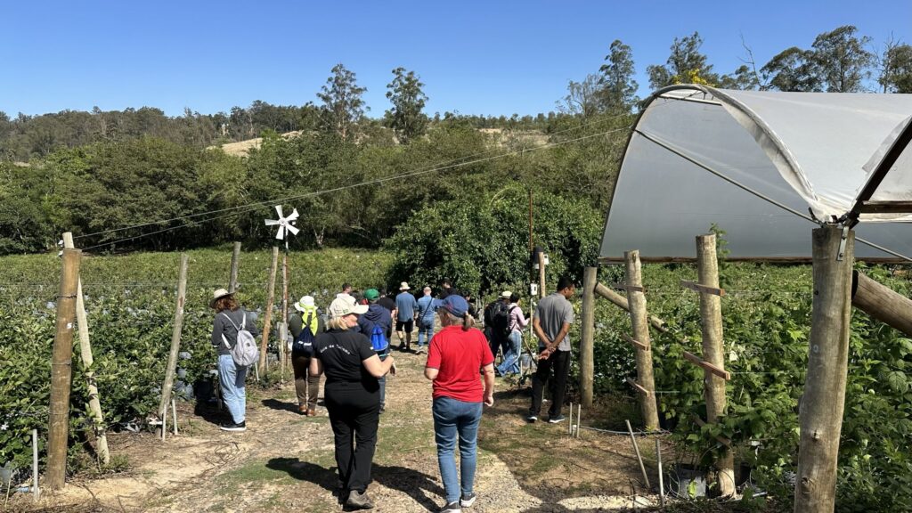 A imagem mostra um grupo de pessoas caminhando por um caminho de terra em uma fazenda, possivelmente em um tour guiado. Há vegetação densa em ambos os lados do caminho, com fileiras de plantas cultivadas e árvores ao fundo. À direita, uma estufa de plástico transparente cobre uma plantação, com postes de madeira sustentando a estrutura. À esquerda, uma pequena turbina eólica está instalada perto de uma cerca. As pessoas estão vestindo roupas casuais, e algumas carregam mochilas. O céu está azul e claro, indicando um dia ensolarado.