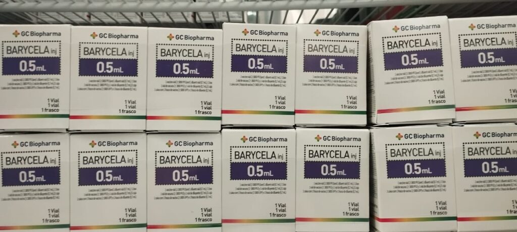 A imagem exibe uma prateleira cheia de caixas de medicamentos empilhadas. As caixas são brancas com detalhes em roxo e verde, e todas parecem conter o mesmo produto: "BARYCELA inj 0.5mL", produzido pela "GC Biopharma". Cada caixa indica que contém "1 Vial, 1 vial, 1 frasco". As caixas estão organizadas em duas fileiras, uma acima da outra, e várias delas estão visíveis na imagem, sugerindo um estoque considerável do medicamento.