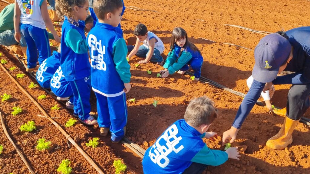 A imagem mostra um grupo de crianças, vestindo uniformes escolares azuis com detalhes em verde e branco, participando de uma atividade de plantio em um campo de terra avermelhada. Elas estão agachadas, plantando mudas de alface em fileiras organizadas, com um sistema de irrigação visível no solo. As crianças parecem estar aprendendo e se divertindo enquanto realizam a tarefa. Há um adulto, possivelmente um professor ou monitor, também agachado e auxiliando uma das crianças no plantio. O sol brilha intensamente, criando sombras no solo e destacando as cores vibrantes dos uniformes e das mudas verdes. A cena transmite uma sensação de aprendizado prático e conexão com a natureza.