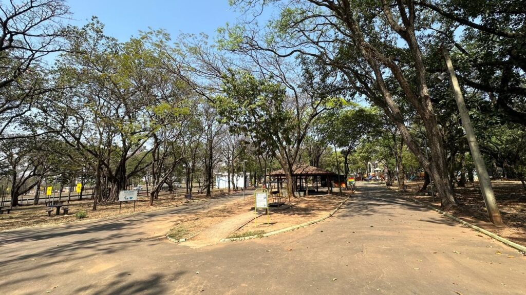 A imagem mostra um parque em um dia ensolarado, com céu azul e poucas nuvens. Há uma estrada de asfalto que se divide em dois caminhos, um à esquerda e outro à direita. A estrada principal à frente parece levar a uma área com brinquedos infantis, visíveis ao fundo. À esquerda, vemos uma área gramada com algumas mesas e bancos, e placas informativas. Há árvores frondosas com galhos que se estendem sobre a estrada, criando áreas de sombra. No centro da imagem, há um caminho de terra batida que leva a um quiosque com telhado de telhas. Perto do quiosque, há uma placa amarela com informações. Mais adiante, no lado direito da estrada, há um poste de iluminação pública. A vegetação é abundante, com árvores de diferentes tamanhos e densidades, algumas com folhagem densa e outras mais esparsas, indicando talvez diferentes espécies ou o período do ano. O chão do parque está coberto de folhas secas em algumas áreas. A atmosfera geral é de tranquilidade e lazer ao ar livre.