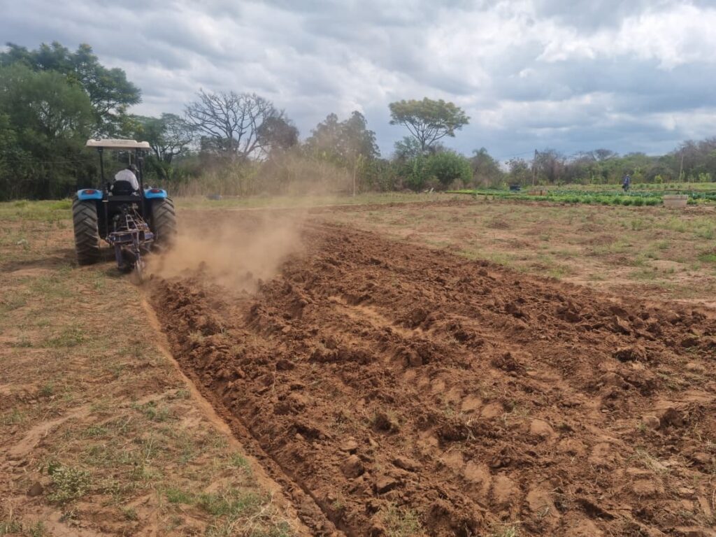 A imagem mostra um trator azul arando um campo de terra. O trator está se movendo da esquerda para a direita, levantando poeira à medida que o arado revira a terra. O campo está parcialmente arado, com sulcos profundos de terra recém-revirada em primeiro plano. Ao fundo, há mais terra, com algumas áreas de grama e vegetação rasteira. Há árvores e arbustos ao redor do campo, e o céu está nublado. Em segundo plano, à direita, parece haver uma área de cultivo com fileiras de plantas e algumas pessoas trabalhando.