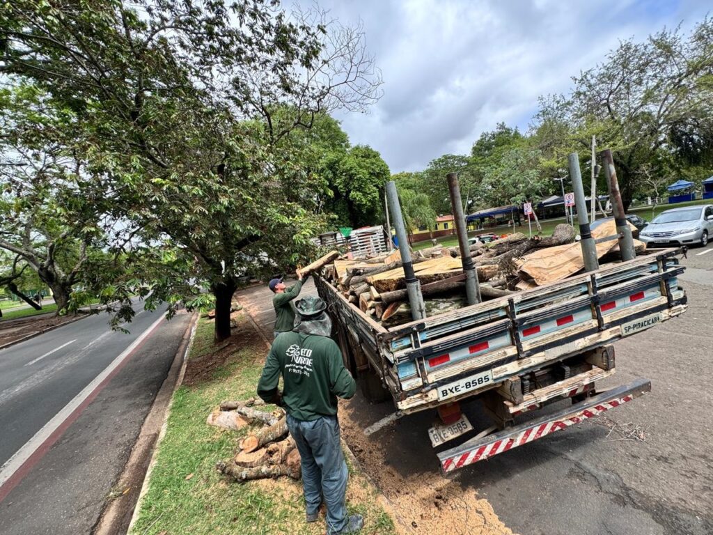 * A imagem mostra dois trabalhadores carregando um caminhão com toras de madeira. * Um dos trabalhadores, vestindo um boné e óculos de proteção, está em pé no caminhão, segurando uma tora e colocando-a no monte. Ele usa uma camisa verde com um logotipo que diz "Eco Verde". * O outro trabalhador, também vestindo um boné e óculos de proteção, está em pé ao lado do caminhão, com as mãos apoiadas em uma tora que está no chão. Ele usa uma camisa verde semelhante com o mesmo logotipo. * O caminhão está carregado com muitas toras de madeira de vários tamanhos. O caminhão tem uma placa traseira que diz "BXe-8585" e "SP-PIRACICARA". * Ao fundo, há árvores verdes, grama e um céu nublado. Há também carros e algumas tendas azuis no fundo. * A cena parece ser de uma área urbana com muitas árvores, possivelmente um parque ou uma rua arborizada.