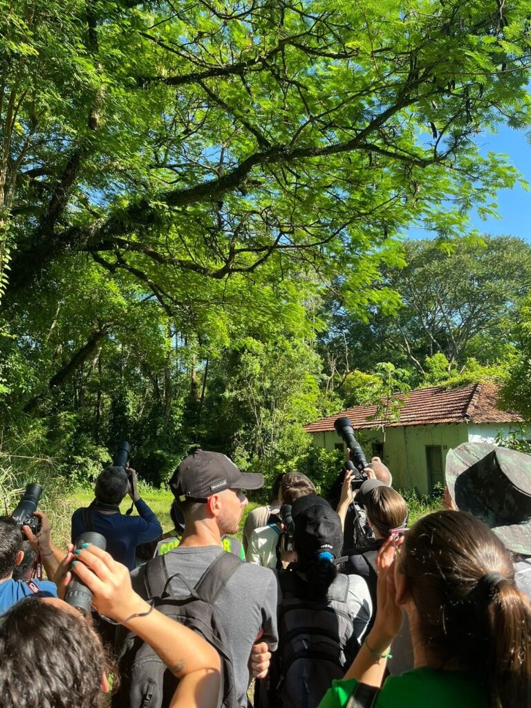 A imagem mostra um grupo de pessoas em uma área verde, possivelmente uma floresta ou parque, com árvores frondosas e um céu azul claro. A maioria das pessoas está voltada para cima, observando algo entre as árvores, e várias delas estão segurando binóculos ou câmeras com lentes longas, sugerindo que estão observando pássaros ou outros animais selvagens. Ao fundo, há uma casa antiga com telhado de telhas vermelhas, parcialmente escondida pela vegetação. A luz do sol ilumina a cena, criando um ambiente natural e sereno.