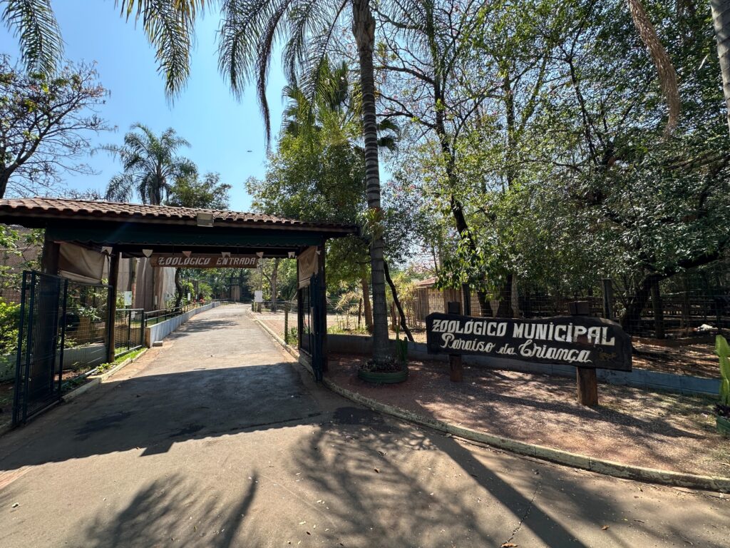 A imagem mostra a entrada do Zoológico Municipal, marcada por um arco de madeira com uma placa indicando "Zoológico Entrada". Ao lado, outra placa de madeira exibe o nome completo do zoológico. O caminho de acesso é pavimentado e ladeado por cercas e vegetação tropical exuberante, incluindo altas palmeiras. A luz solar intensa e as sombras projetadas no chão sugerem um clima quente, criando uma atmosfera acolhedora e natural para os visitantes que chegam ao parque.