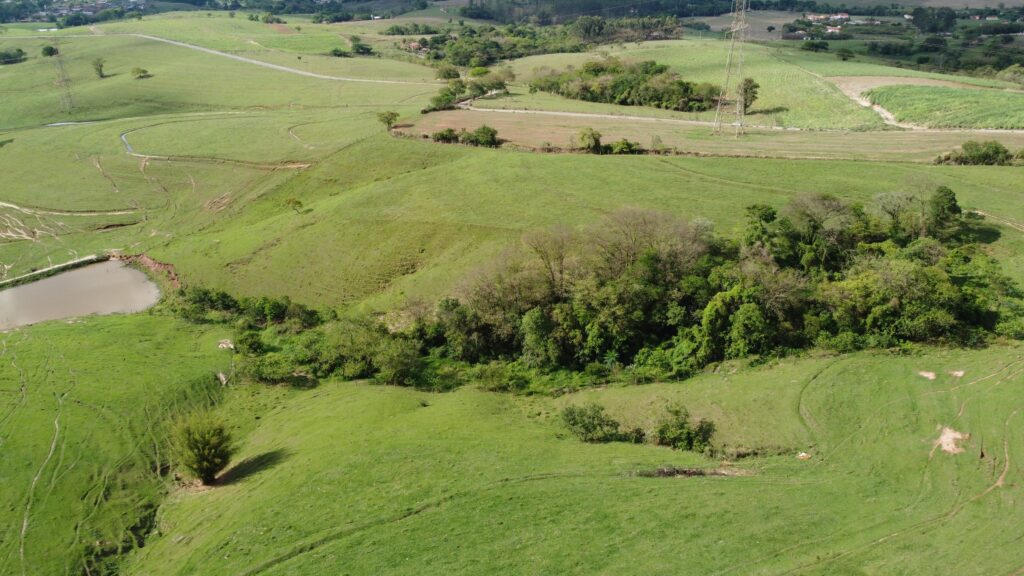 A imagem é uma vista aérea de uma paisagem rural exuberante, dominada por vastos campos de grama verde. As colinas ondulantes criam um relevo suave, com caminhos sinuosos que atravessam a vegetação, sugerindo a presença de atividades agrícolas ou pastagens. Em um dos lados da imagem, um pequeno lago artificial ou açude reflete a luz do sol, adicionando um ponto de interesse à paisagem. Ao redor do lago e em outras áreas, grupos de árvores e arbustos formam manchas de verde mais escuro, contrastando com a grama mais clara. Ao fundo, a paisagem se estende com mais campos, algumas construções dispersas e uma torre de alta tensão, indicando a proximidade de alguma infraestrutura. A vegetação parece ser predominantemente gramínea, com algumas áreas de cultivo ou pastagens, pontuada por árvores isoladas e grupos de mata. A luz do sol ilumina a cena, criando sombras suaves e realçando as texturas do terreno.