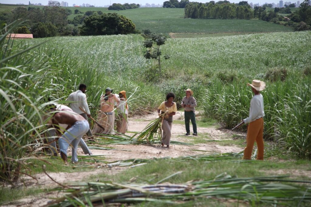 A imagem mostra uma cena rural de colheita de cana-de-açúcar. Em primeiro plano, há vários trabalhadores, alguns com roupas simples, incluindo um homem sem camisa e outro com uma camisa branca, ambos manuseando a cana. Também há um grupo de mulheres vestidas com roupas tradicionais e lenços na cabeça, segurando feixes de cana. Dois homens com chapéus de palha estão armados com rifles, parecendo vigiar ou supervisionar a atividade. A plantação de cana-densa domina a maior parte da imagem, com folhas verdes altas e robustas. Ao fundo, é possível ver colinas verdes e algumas construções que indicam a presença de uma cidade ou vila. A luz natural do dia ilumina toda a cena, sugerindo um momento de trabalho agrícola sob o sol. A imagem transmite uma atmosfera de trabalho duro e possivelmente um contexto histórico, dada a presença dos rifles e o estilo das roupas.
