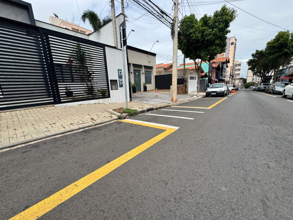 A imagem mostra uma rua residencial com casas e prédios em um dia nublado. Na calçada da esquerda, há um muro com portão preto e elementos decorativos de plantas. A rua é asfaltada e possui sinalização de trânsito com faixas amarelas e brancas no chão, indicando uma faixa de pedestres. Vários carros estão estacionados ao longo da rua, tanto no lado esquerdo quanto no direito. Há postes de iluminação pública e fios elétricos cruzando o céu. A vegetação, incluindo árvores e palmeiras, está presente em alguns pontos da paisagem urbana.