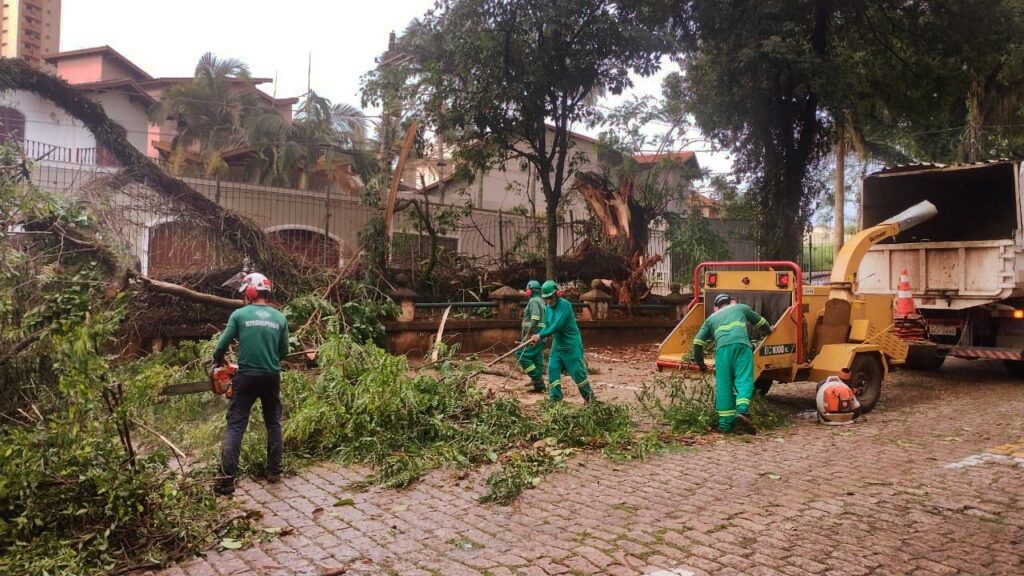 A cena retrata uma equipe de trabalhadores limpando os destroços de uma árvore que caiu, provavelmente devido a uma tempestade. Quatro homens, todos vestidos com uniformes verdes e capacetes, estão envolvidos na tarefa. Um deles, na frente esquerda, usa uma motosserra para cortar um galho grosso fallen tree. Ao seu lado, à direita, um triturador de galhos amarelo está posicionado, com um funcionário alimentando-o com detritos verdes. Mais atrás, dois outros trabalhadores parecem estar reunindo galhos e folhas caídos no chão, possivelmente para alimentar o triturador. Uma caminhonete branca está estacionada atrás do triturador, com sua caçamba aberta, pronta para receber o material triturado. A área ao redor está coberta de galhos e folhas, e o pavimento é de pedras irregulares. Ao fundo, casas e árvores completam o cenário, sugerindo que o incidente ocorreu em uma área residencial.