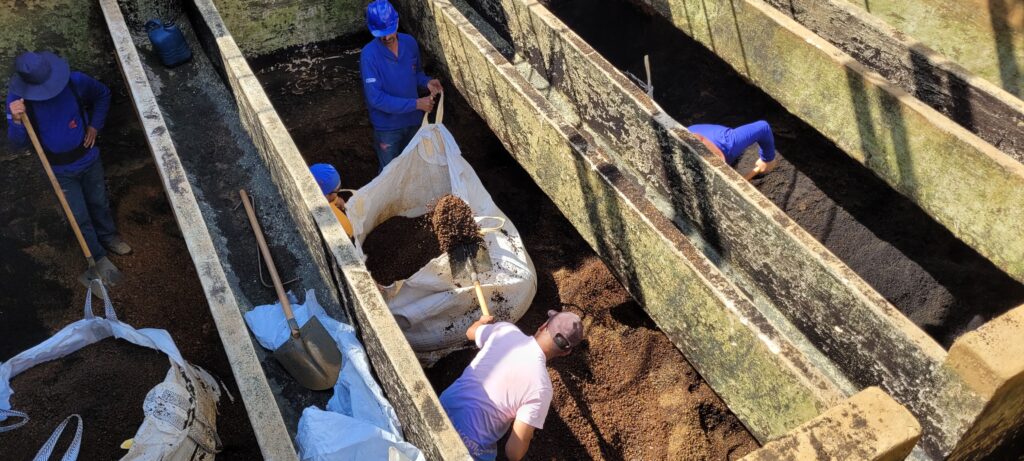 A imagem mostra uma visão aérea de vários trabalhadores em um ambiente externo, possivelmente uma fazenda ou instalação de processamento. Eles estão envolvidos em uma tarefa que parece ser a manipulação de terra ou composto. Há pelo menos quatro trabalhadores visíveis, a maioria vestindo roupas azuis e chapéus ou bonés, o que sugere um uniforme ou equipamento de proteção. Eles estão em e ao redor de longos canais de concreto, que estão cheios de um material escuro e granular, semelhante a solo ou composto. Um trabalhador está em pé em um dos canais, segurando uma pá, enquanto outro, mais ao centro, está enchendo um grande saco de material com uma pá. Um terceiro trabalhador está agachado em um dos canais, manipulando o material com as mãos. Um quarto trabalhador está mais afastado, também em um canal, com uma pá. Há também sacos de material em outros canais, indicando que o processo envolve o transporte ou embalagem.